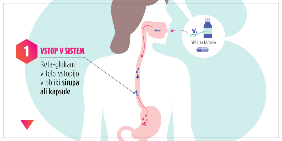 vstop v sistem