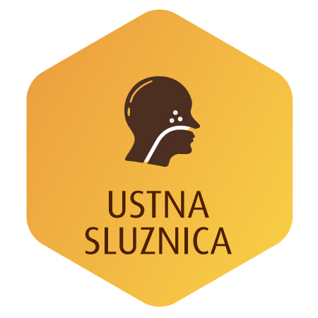 ustna sluznica