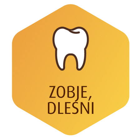 zobje in dlesni