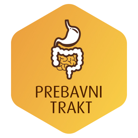 prebavni trakt
